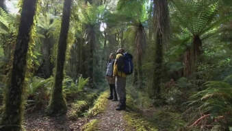 Embedded thumbnail for Ngai Tahu (Induction)
