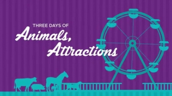 Embedded thumbnail for Canterbury A&P Show 2015 TVC (Motion Graphics)