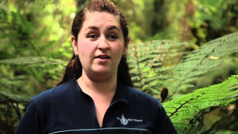 Embedded thumbnail for Ngai Tahu - Testimonial Video